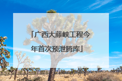 广西大藤峡工程今年首次预泄腾库