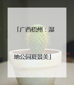 广西梧州：湿地公园夏景美
