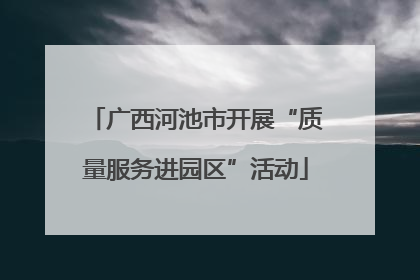 广西河池市开展“质量服务进园区”活动