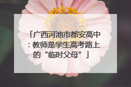 广西河池市都安高中：教师是学生高考路上的“临时父母”
