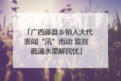 广西藤县乡镇人大代表闻“汛”而动 监督疏通水渠解民忧