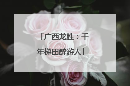 广西龙胜：千年梯田醉游人