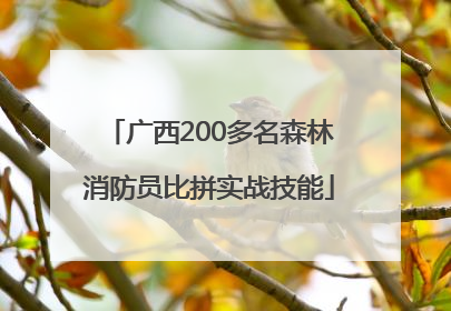 广西200多名森林消防员比拼实战技能