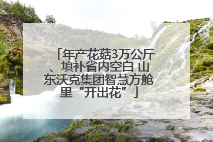 年产花菇3万公斤、填补省内空白 山东沃克集团智慧方舱里“开出花”