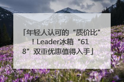 年轻人认可的“质价比”！Leader冰箱“618”双重优惠值得入手