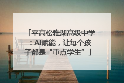 平高松雅湖高级中学：AI赋能，让每个孩子都是“重点学生”