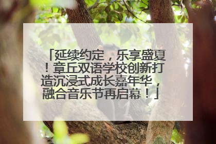 延续约定，乐享盛夏！章丘双语学校创新打造沉浸式成长嘉年华，融合音乐节再启幕！