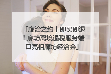 廊洽之约丨即买即退！廊坊离境退税服务端口亮相廊坊经洽会