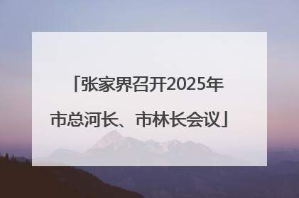 张家界召开2025年市总河长、市林长会议