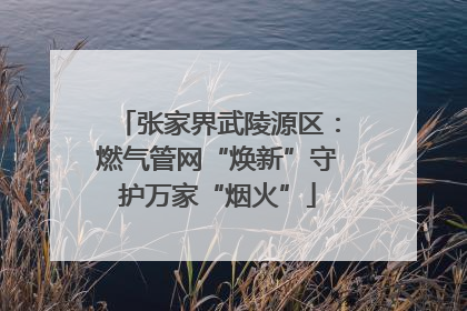 张家界武陵源区：燃气管网“焕新”守护万家“烟火”