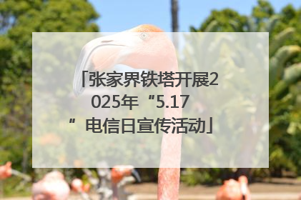 张家界铁塔开展2025年“5.17”电信日宣传活动