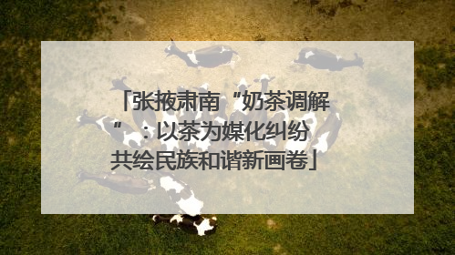 张掖肃南“奶茶调解”：以茶为媒化纠纷 共绘民族和谐新画卷