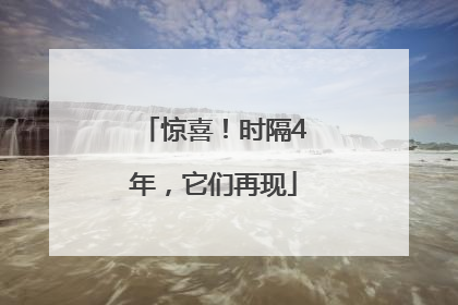 惊喜！时隔4年，它们再现