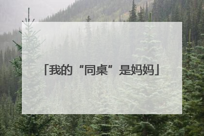 我的“同桌”是妈妈