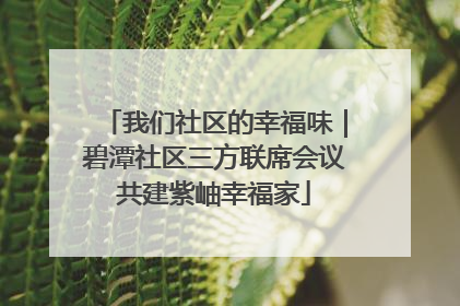 我们社区的幸福味｜碧潭社区三方联席会议共建紫岫幸福家