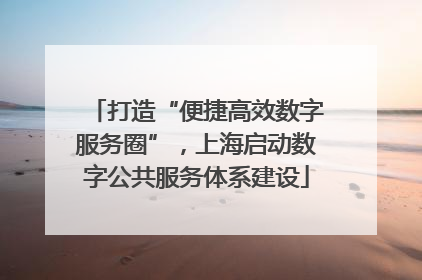 打造“便捷高效数字服务圈”，上海启动数字公共服务体系建设