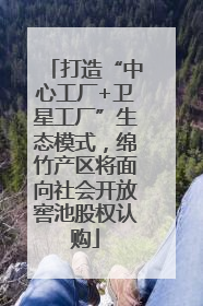 打造“中心工厂+卫星工厂”生态模式，绵竹产区将面向社会开放窖池股权认购