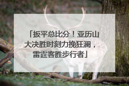 扳平总比分！亚历山大决胜时刻力挽狂澜，雷霆客胜步行者