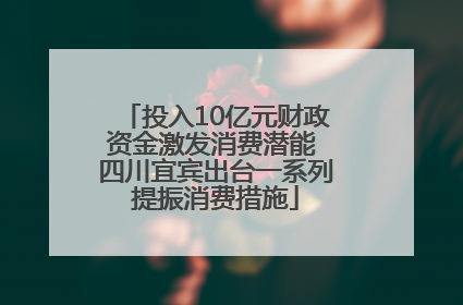 投入10亿元财政资金激发消费潜能 四川宜宾出台一系列提振消费措施