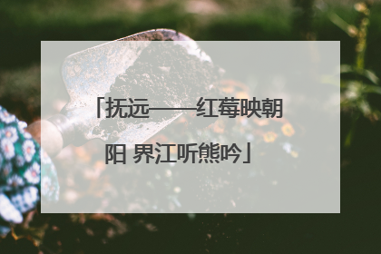 抚远——红莓映朝阳 界江听熊吟