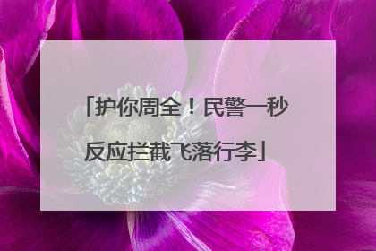 护你周全！民警一秒反应拦截飞落行李