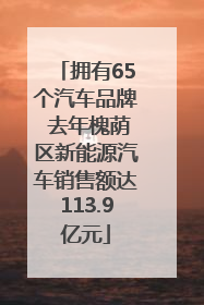 拥有65个汽车品牌 去年槐荫区新能源汽车销售额达113.9亿元