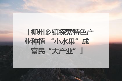 柳州乡镇探索特色产业种植 “小水果”成富民“大产业”