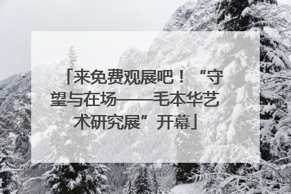 来免费观展吧！“守望与在场——毛本华艺术研究展”开幕