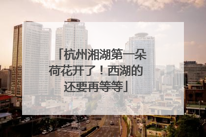 杭州湘湖第一朵荷花开了！西湖的还要再等等