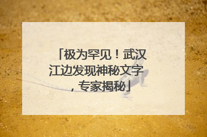 极为罕见！武汉江边发现神秘文字，专家揭秘