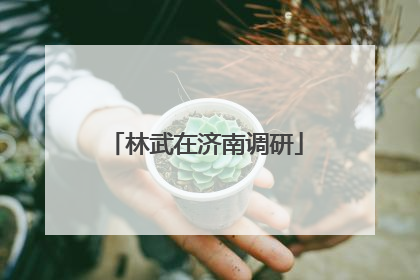 林武在济南调研