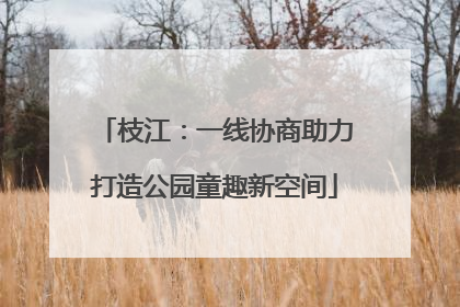 枝江：一线协商助力打造公园童趣新空间