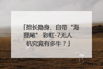 擅长隐身、自带“海狸尾” 彩虹-7无人机究竟有多牛？