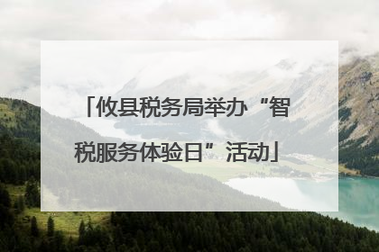 攸县税务局举办“智税服务体验日”活动