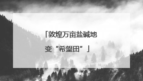 敦煌万亩盐碱地变“希望田”