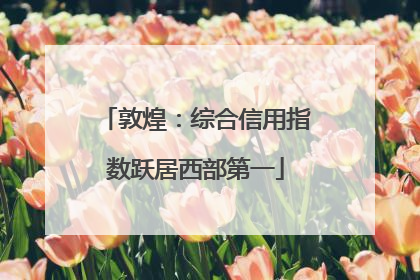 敦煌：综合信用指数跃居西部第一