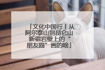 文化中国行丨从阿尔泰山到昆仑山 新疆岩壁上的“朋友圈”画的啥