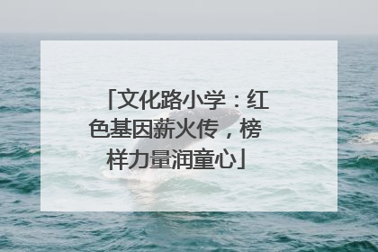 文化路小学：红色基因薪火传，榜样力量润童心