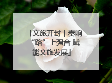 文旅开封｜奏响“路”上强音 赋能文旅发展
