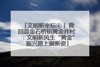 文明新坐标④丨 隆回县金石桥镇黄金井村：文明新风生“黄金” 振兴路上展新姿