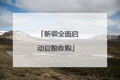 新疆全面启动夏粮收购