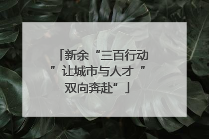 新余“三百行动”让城市与人才“双向奔赴”