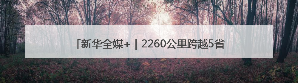 新华全媒+｜2260公里跨越5省份 0.007秒“疆电”点亮山城