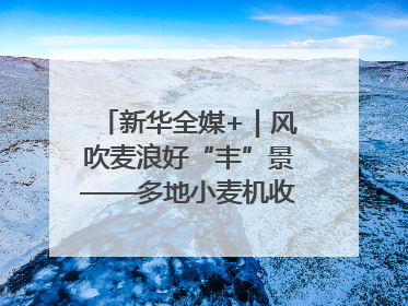 新华全媒+｜风吹麦浪好“丰”景——多地小麦机收一线见闻
