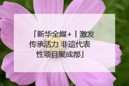 新华全媒+丨激发传承活力 非遗代表性项目聚成都