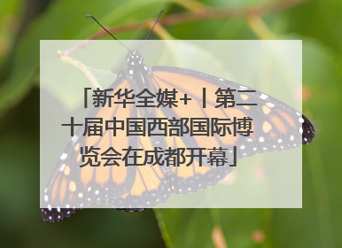 新华全媒+丨第二十届中国西部国际博览会在成都开幕