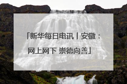 新华每日电讯丨安徽：网上网下 崇德向善