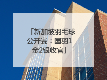 新加坡羽毛球公开赛：国羽1金2银收官