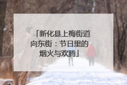 新化县上梅街道向东街：节日里的烟火与欢腾