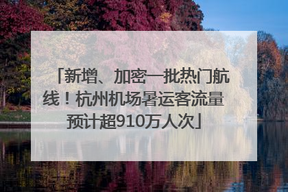 新增、加密一批热门航线！杭州机场暑运客流量预计超910万人次